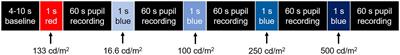 Long-Term Narrowband Lighting Influences Activity but Not Intrinsically Photosensitive Retinal Ganglion Cell-Driven Pupil Responses